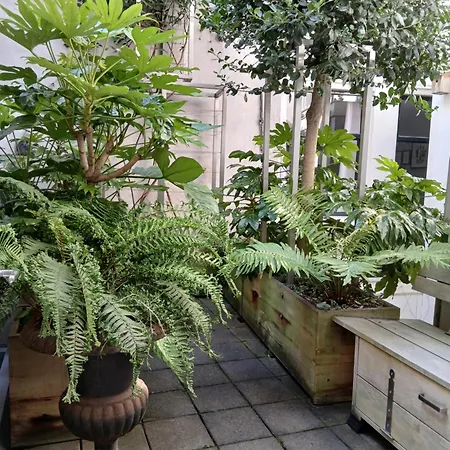 Roomolen