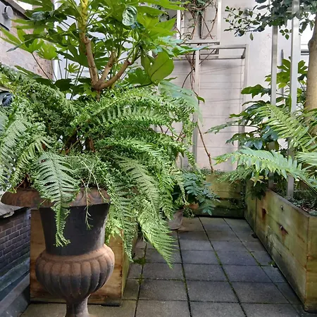 アパート Roomolen アムステルダム