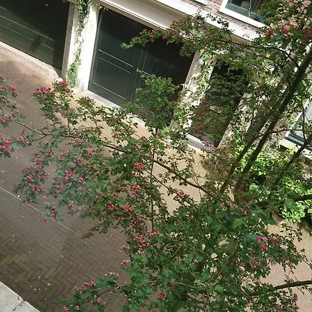 Roomolen * 암스테르담