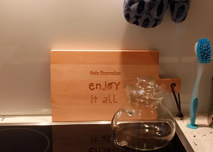 Lejlighed Roomolen Amsterdam